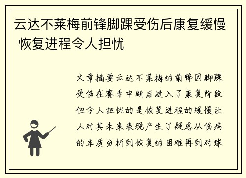 云达不莱梅前锋脚踝受伤后康复缓慢 恢复进程令人担忧