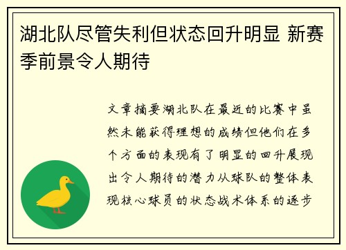 湖北队尽管失利但状态回升明显 新赛季前景令人期待