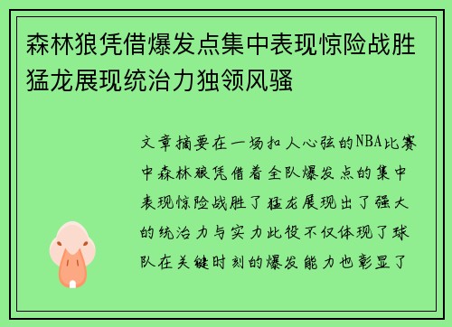 森林狼凭借爆发点集中表现惊险战胜猛龙展现统治力独领风骚